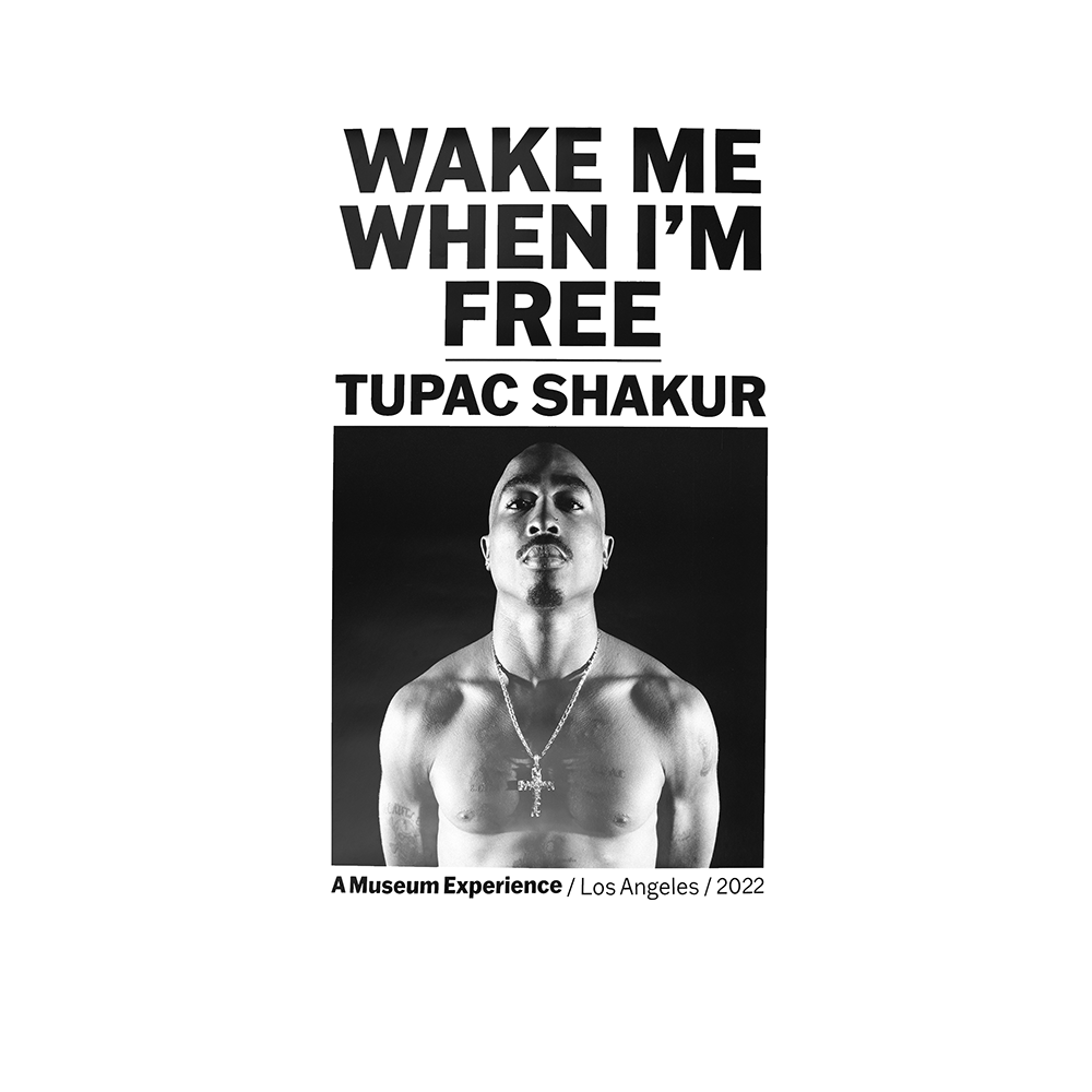 Wake Me When I'm Free Poster I