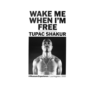 Wake Me When I'm Free Poster I