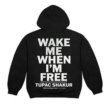 Wake Me When I'm Free Exhibit Hoodie Back