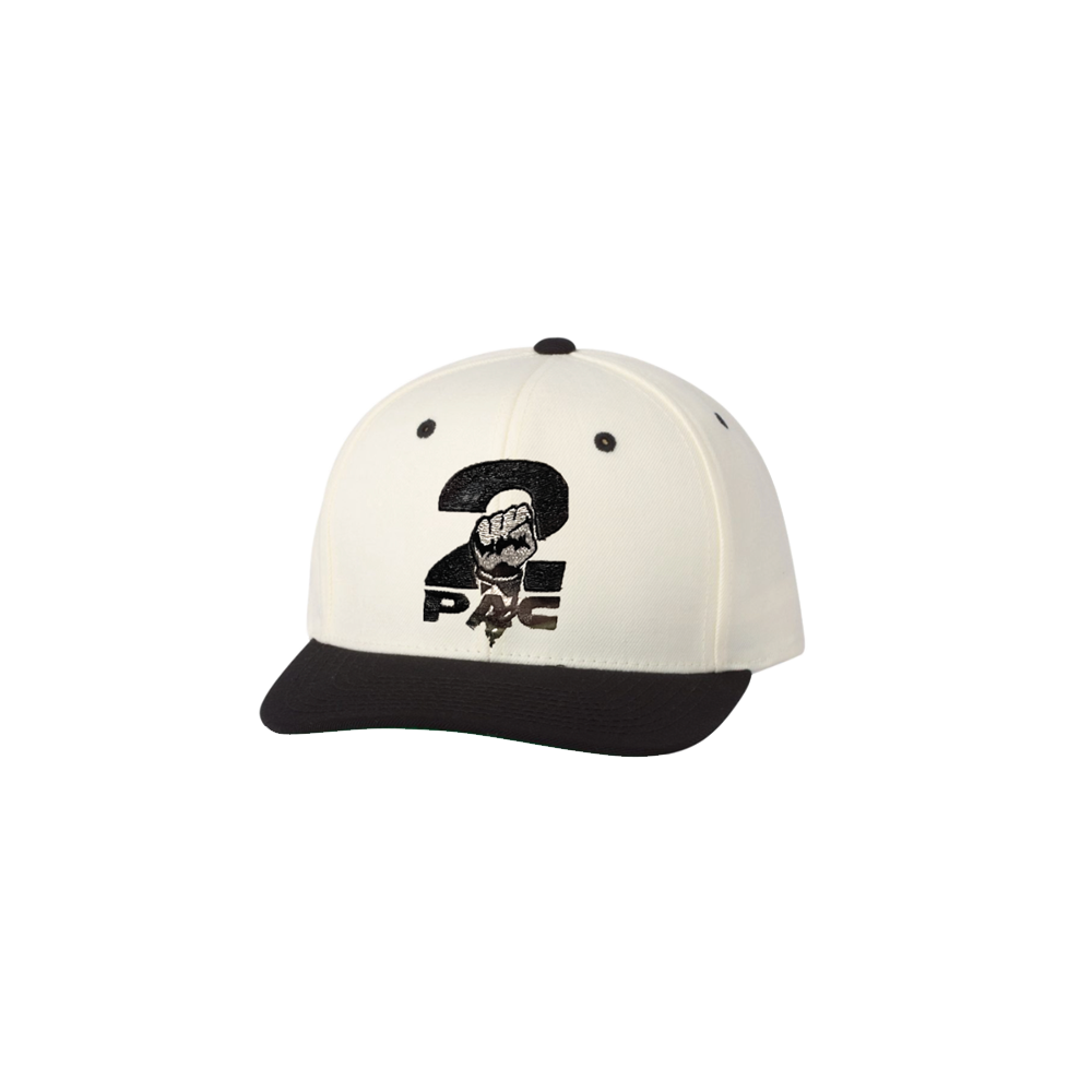 Snack back hat hotsell
